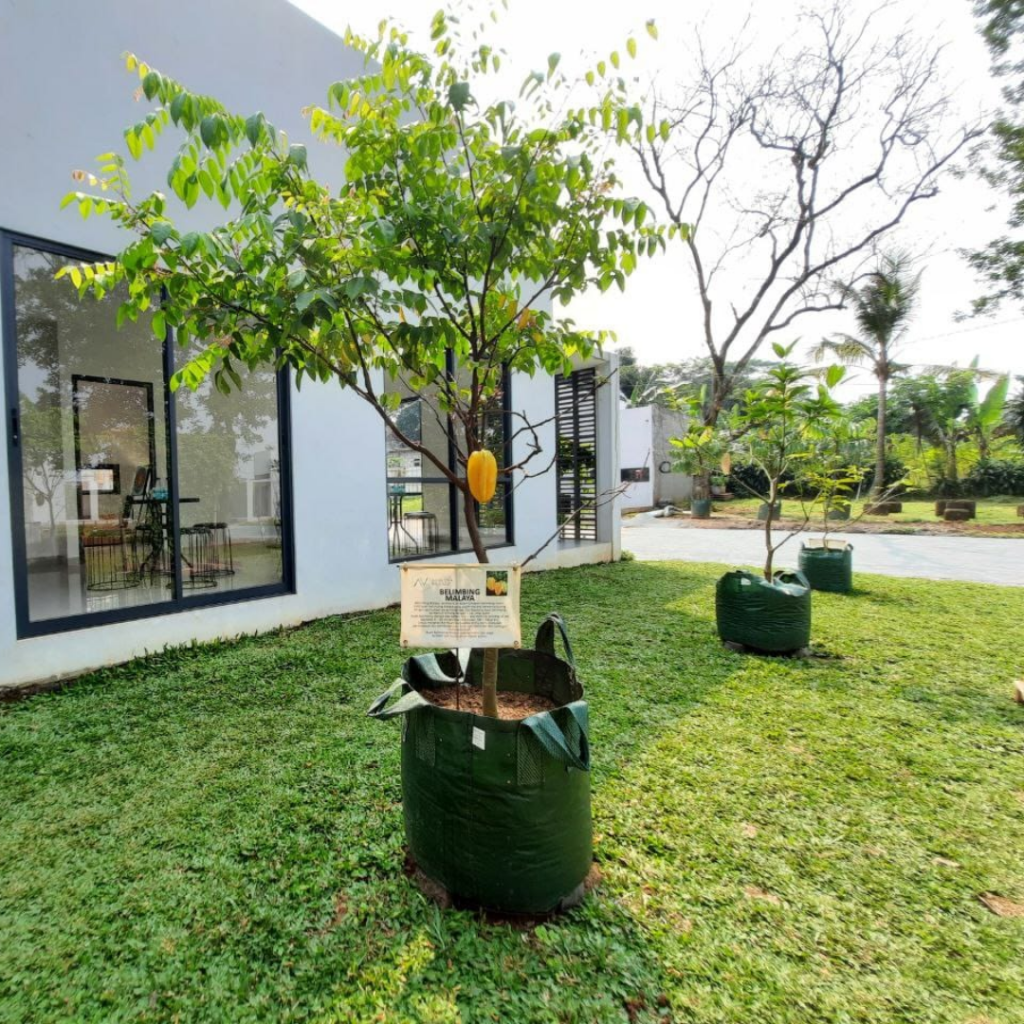 Rumah Syariah Bogor, Desain Premium dengan Green Concept